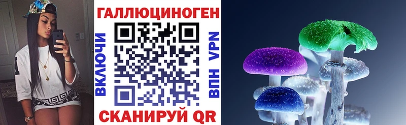 OMG сайт  Судогда  Псилоцибиновые грибы Cubensis  закладки 